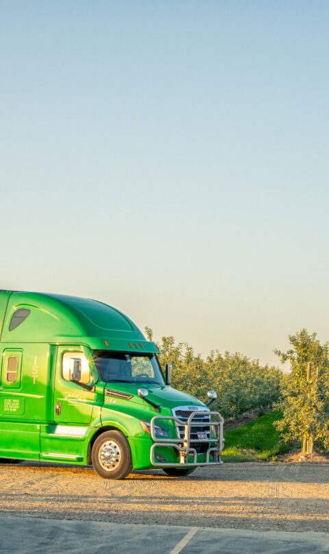 A green semi truck without a trailer parked next to a vineyard